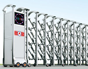 ���P���s�T(m��n)�y����̖(h��o)