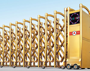 ���P���s�T(m��n)�y����̖(h��o)